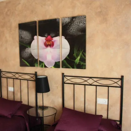 Rte. Elena Fuentes de Ebro