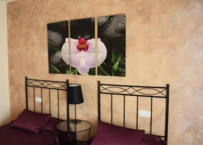 Rte. Elena Fuentes de Ebro